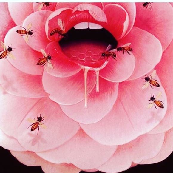 Meet your Posher, Rosemary - Picture 4 of 4